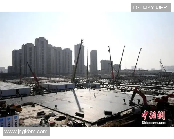 纳姓足球明星的辉煌历程与成就探秘