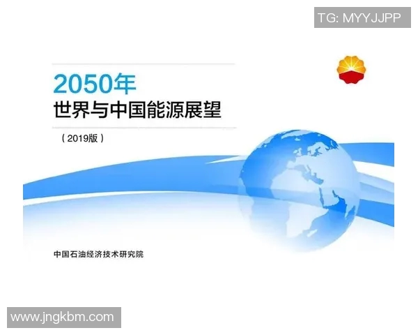 杭州排球队在钻石联赛中的技术表现分析与未来展望